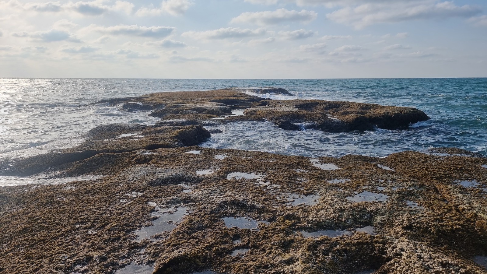 WhatsApp Image 2023-02-20 at 5.53.38 PM (10).jpeg